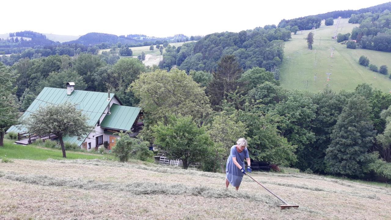 U Mushera Vrchlabí Exterior foto