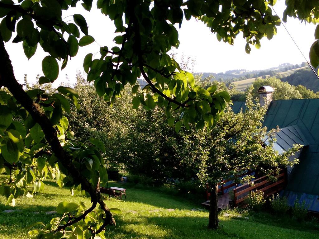 U Mushera Vrchlabí Exterior foto