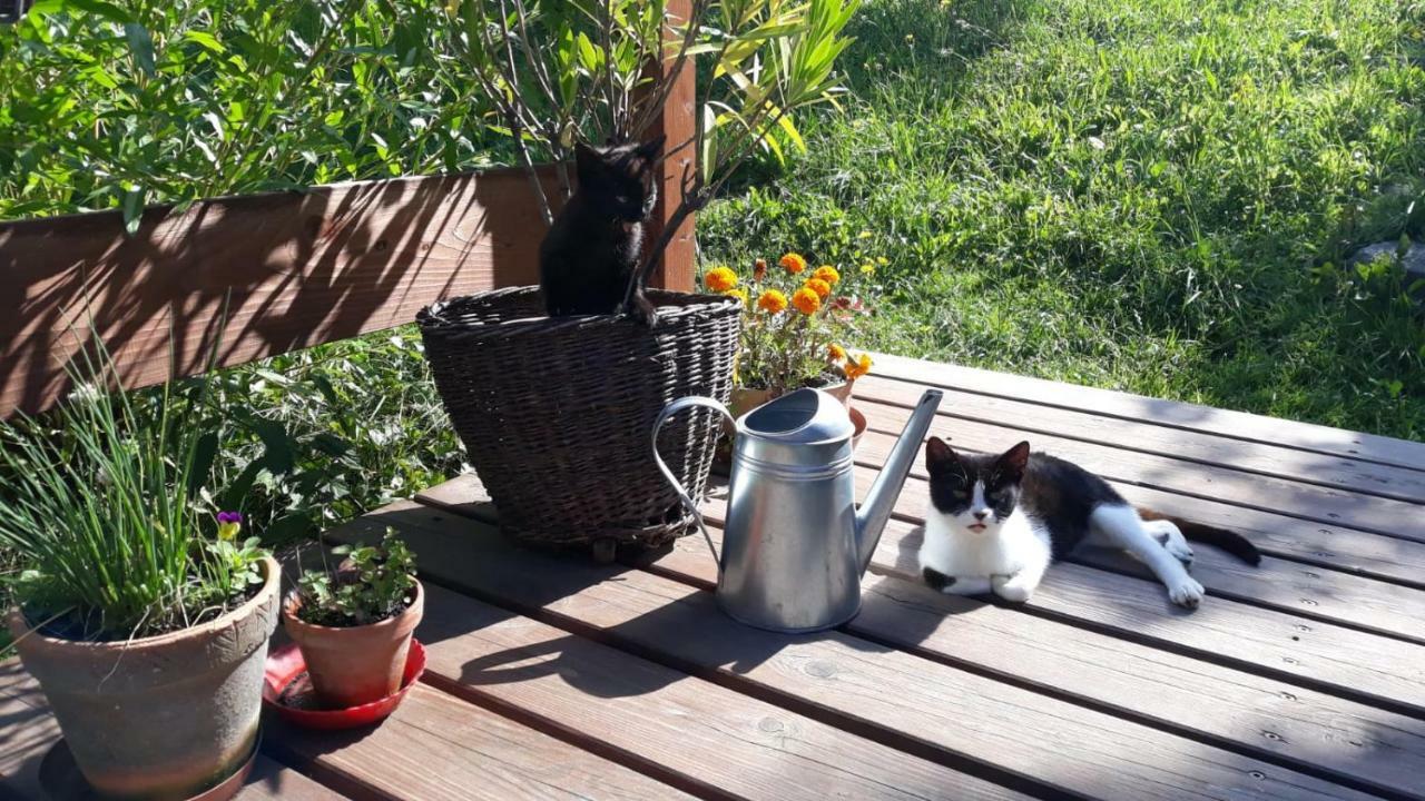 U Mushera Vrchlabí Exterior foto